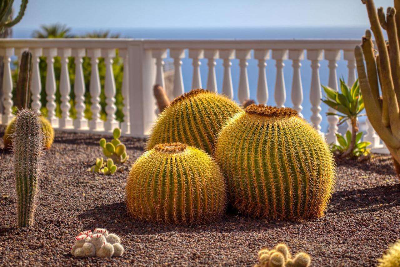 Atlantico Sun Villa Mogán Esterno foto